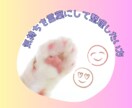 40代・50代女性のお悩み、ゆっくりお聴きします ☘️更年期/介護/人間関係/鬱/孤独/恋愛/愚痴/雑談など イメージ4