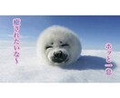5分だけほんの少しでもお話しききます 誰かと話したいな、良いことでも不安なことでも、なにもなくても イメージ2