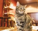 些細なことでも大丈夫、どんな話でも聞きます 人は誰しも自分の心の中の事を誰かに聞いてもらいたいはず。 イメージ7