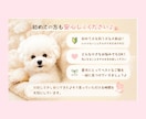 愛犬のご飯選び、優しくサポートします 愛犬の体質に合うご飯選びをサポートします イメージ4