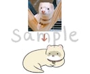 ゆる〜い動物のイラストを描きます 写真からのデフォルメイラスト化も可能です！ イメージ3