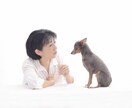 ペットロスの貴方のココロに寄り添います 私も現在進行系のペットロス経験者です。 イメージ2