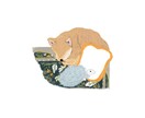 わんちゃんのおしゃれなイラスト描きます 小物の追加や修正無料 / スピード納期も可◎ イメージ3