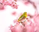 4月の運気を占います 〇〇をしましょう。でも〇〇には注意! イメージ1