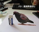 だまし絵・トリックアートを制作します だまし絵・トリックアートでみんなをビックリさせよう！！ イメージ1
