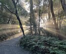 恋愛の悩み相談をお受けします 霊感を使っての鑑定アドバイスになります イメージ1