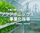 アクアポニックス農法｜0から事業化をめざします 大阪万博にも展示されたハイブリッド1次産業 イメージ1