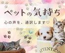 波動共鳴♡ペットちゃんの本音の想い届けます 大切なあなたと心通わせたい。言葉にできない気持ちをお届け イメージ1