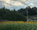 介護経験活かし悩み相談や愚痴聞きます 施設、デイサービス、訪問介護経験サービス提供責任者 イメージ1
