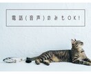 ぐちに傾聴、占星術の視点心のあり方アドバイスします 打ち明ける相手がいない人へ。身近な人に相談しづらい人へ。 イメージ2