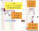 忙しい方にピッタリのトレード方法教えます 毎朝30分だけチャートを見て後は放置のトレード！ イメージ7