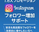 即日対応/インスタのフォロワーを1万人増やします 信頼されるアカウント作りにおすすめです！ イメージ1