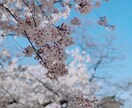 幸せになるためのメンタリングをします 〜本当の自分が分からない貴方へ〜 イメージ1