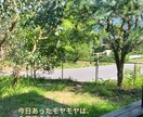 あなたの✨"誰かに話したい"✨を叶えます どんな些細なことでもOKです！！ イメージ6