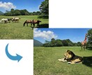 Photoshop【10枚】AI加工・修正承ります 現役EC運用者が画像素材をサポート イメージ5
