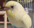 トークルームであなたの悩みや愚痴など聞きます 電話が苦手な方におすすめです。愚痴やお悩み、雑談しましょ！ イメージ2