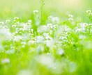 あなたの悩みに寄り添います 少しでも心軽くしていきませんか イメージ1