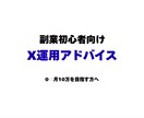 副業初心者向け｜X運用アドバイスします 副業0からでもOK｜実体験ベースで丁寧にサポートします イメージ1