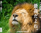 目を引くバナー・ヘッダーをデザインします 制作歴5年。動画もWebも分かるデザイナーが対応します イメージ10