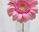 画像の背景の白抜き、透過承ります 面倒な処理をお安い価格でご提供致します! イメージ3