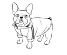 趣味（好きなもの）×動物のイラストを描きます 趣味（好きなもの）と動物を組み合わせたイラストを描きます イメージ5