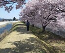 カウンセラー色々お話、聞きます NGなし！愚痴から雑談まで何でもOK！d(ゝω・´○) イメージ1