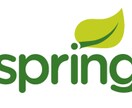 Java + Springでのお悩み解決します 周りに詳しい人がいなくて、正しい使い方か悩んでるあなたへ イメージ1