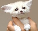 あなたの話し相手になります 話を聞いてほしい！彼女役をお願いしたい！という方是非！！ イメージ1