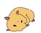 ハムスターのイラスト【3枚】作成します ハムスター特化！ハムちゃんの何気ない表情イラスト作成します イメージ1