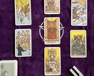 限定５！オッドアイのスフィンクスがモヤを晴らします 神秘的なオッドアイの猫によるタロット占い イメージ4