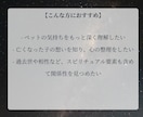 アニマルコミュニケーション｜魂と対話します 亡くなった子も可能。過去世や相性、エネルギー解析もできます イメージ5