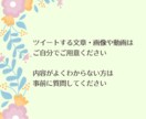 ツイッターで5日間で15回ツイートします 商品サービスを宣伝、拡散、認知したい個人起業家様におすすめ イメージ2