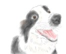 大切な家族の素敵な思い出をイラストで残します 大好きなあの瞬間、あの顔、写真とは違う思い出を残します！ イメージ1