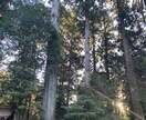 お悩みをお聞きして最善策をタロットにききます お悩みに対して最善策を聞きます✯ イメージ1