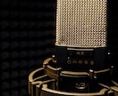 歌やラップのミックスをワンストップで仕上げます 参考曲に寄せた質感作り、SNS/配信で映える音量感を重視。 イメージ1