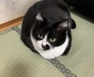 あなたの話を聞きます おしゃべりしながら、スッキリしよう! イメージ1