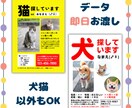 迷子の犬・猫・鳥などのチラシを作成いたします ◆ 早く・安く！ご対応いたします ◆ イメージ1