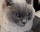 一度は止まってしまうキャッチコピーを作るります 相手に印象が残るようなものを！ イメージ1