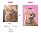データ納品｜ペットの写真を水彩風アートに仕上げます 名前入れ無料｜オプションで装飾付きメッセージ可能 イメージ3