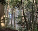 霊感霊視【2025年仕事運】霊聴占い致します ★高次元メッセージ★霊聴★守護霊からの声★霊感タロット★ イメージ5