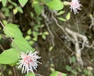 お話聞きます 日々のモヤモヤ、お悩み、何でもお聞きします。 イメージ1