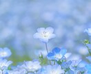 HSP があなたのお話傾聴します お試し1分OK♪お気軽にお電話ください イメージ6