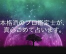 タロット&ルノルマンオラクルで、深い鑑定を行います ✨平均的にはご購入後30分〜5時間以内に回答しております✨ イメージ1