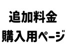 追加料金はこちらからお願いします ご購入者様限定、追加料金のお支払い用ページです イメージ1