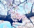 恋愛、結婚、浮気、不倫に付いて相談のります 恋愛、浮気、不倫、一緒に考えます！！きっといい答えが！ イメージ3