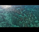 沖縄価格│ドローン空撮写真10枚。絶景撮影します 沖縄の海や岬の絶景を格安で撮影 イメージ4