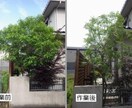 剪定の相場診断＆DIYアドバイスします プロの手で美しく。剪定の見積もり診断、写真で簡単に対応。 イメージ3