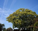 相手の気持ちを視ます 本質から考え直したい方へ★気持ち、未来、アドバイス イメージ1