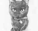 ペット・動物似顔絵お描きします 可愛いペット・動物を鉛筆／色鉛筆でスケッチ風、写実系似顔絵に イメージ7