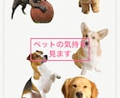 アニマルコミニケーションでペットちゃんの声届けます ペットの声と遠隔でペットちゃんに5分間ヒーリング流します！！ イメージ1